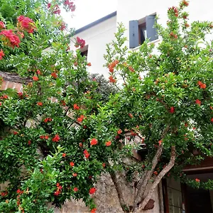  Bed & Breakfast Alla Posta